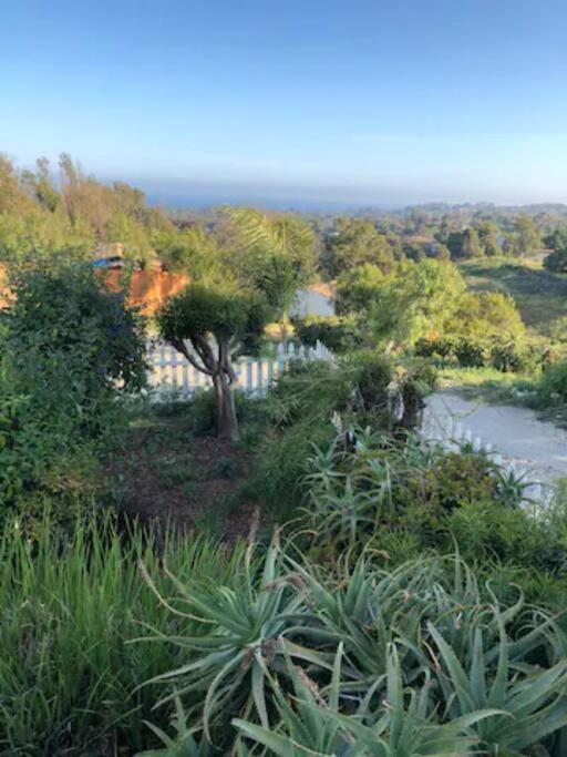 30 Pct Off!! Limited Time! Malibu Zen Guest Suite, Near Beach & Hiking Trails, Central Location Εξωτερικό φωτογραφία